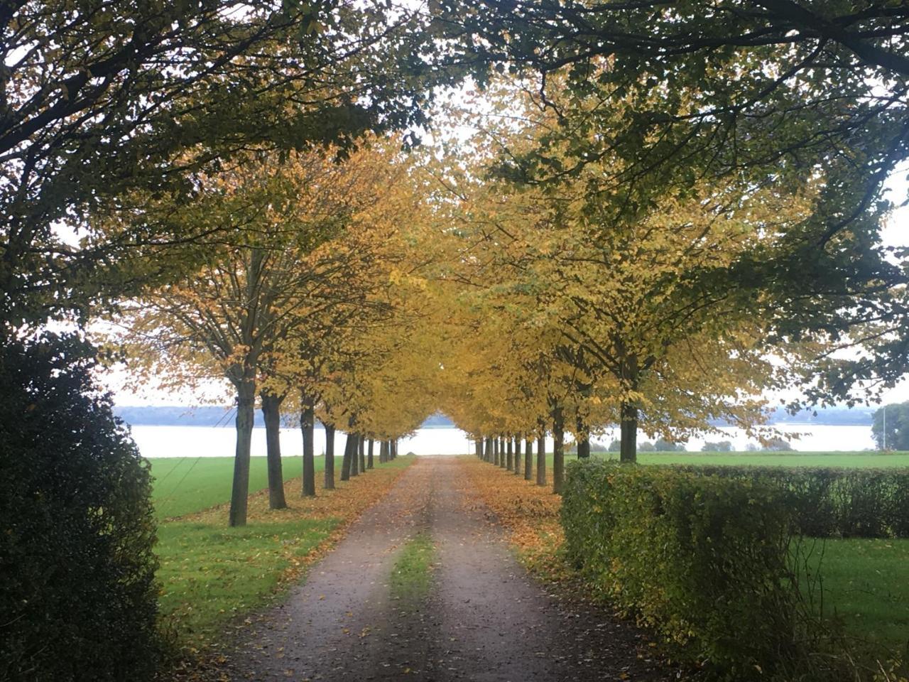 Villa Vibaek Sønderborg Exterior foto
