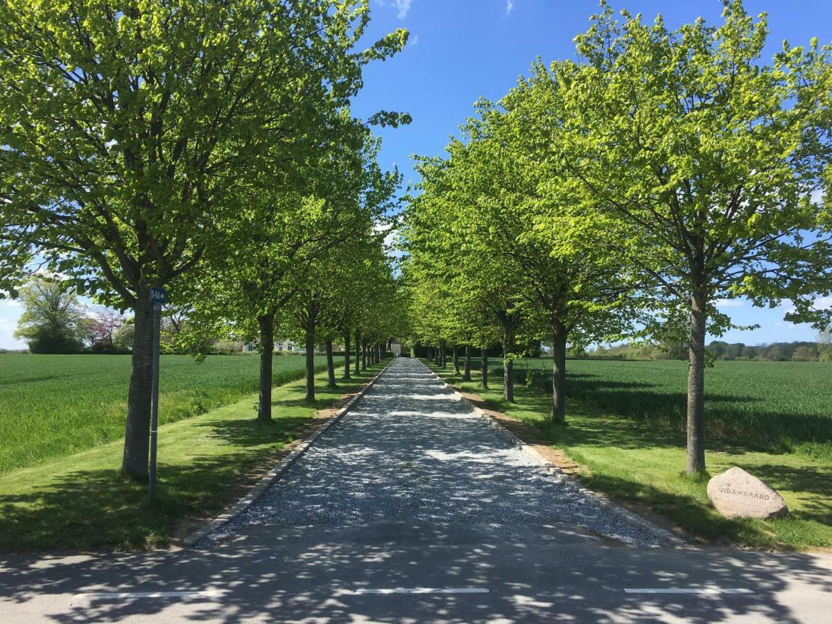 Villa Vibaek Sønderborg Exterior foto